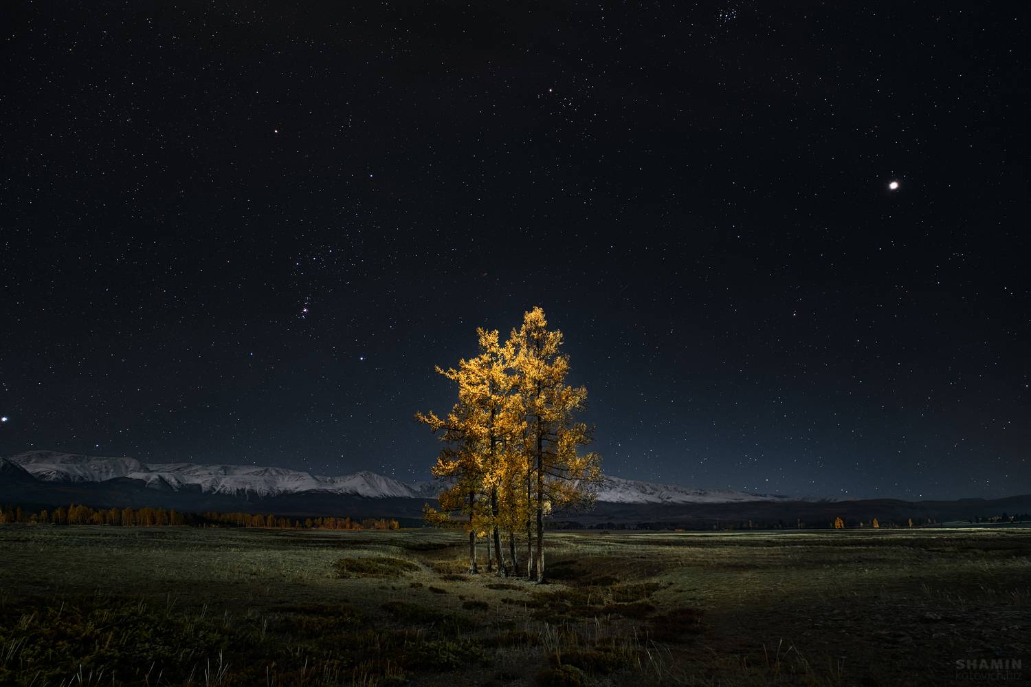 , Константин Шамин