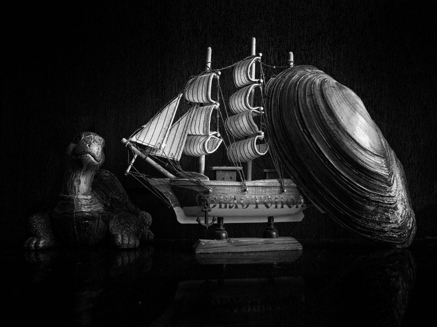 , Савоцкий Роман