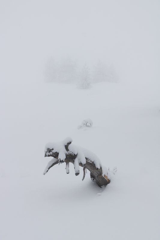 winter, snow, mountain, fog, white, minimalistic, tree Один фото превью