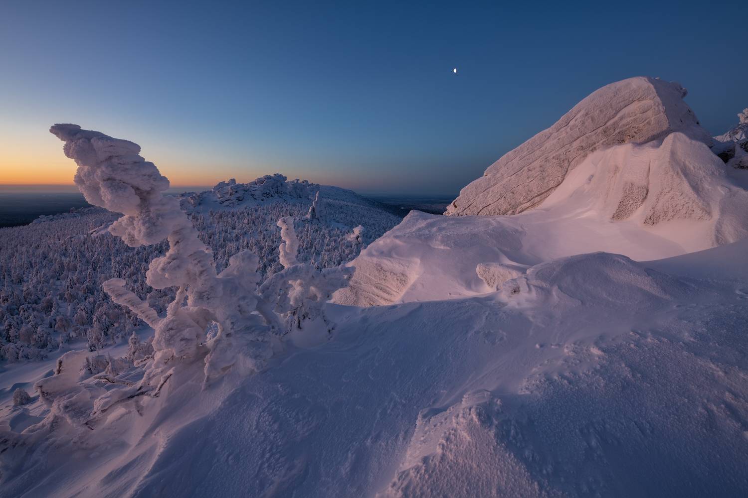 , Максим Евдокимов