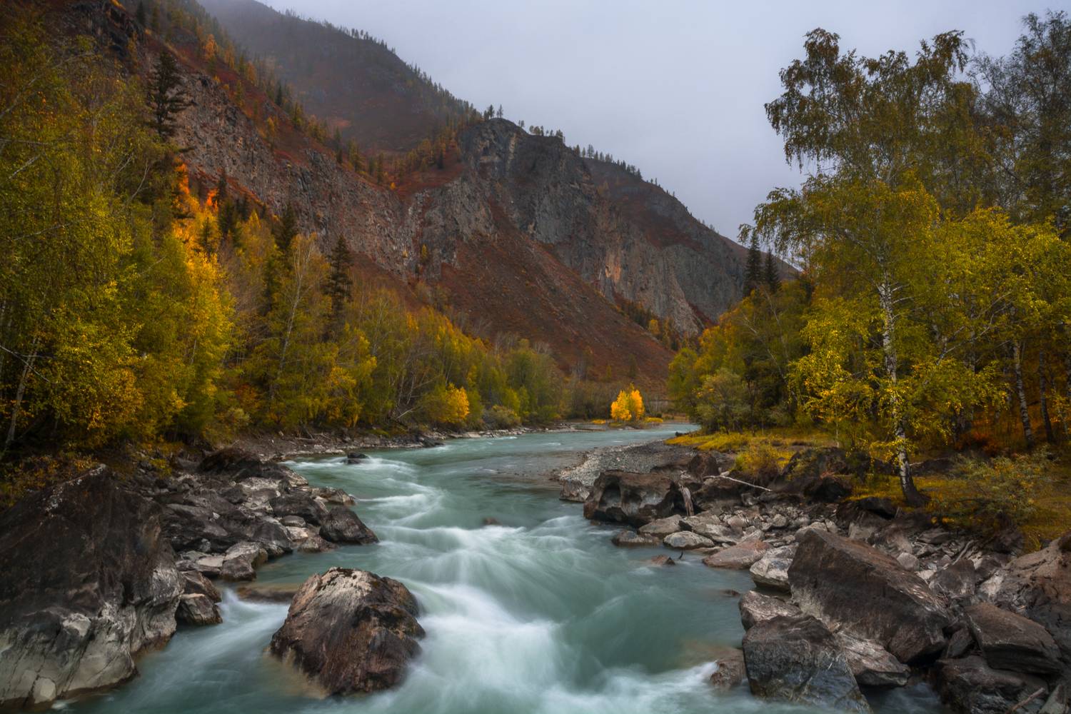 россия, горный алтай, река чуя, осень, пасмурно, Андрей Поляков