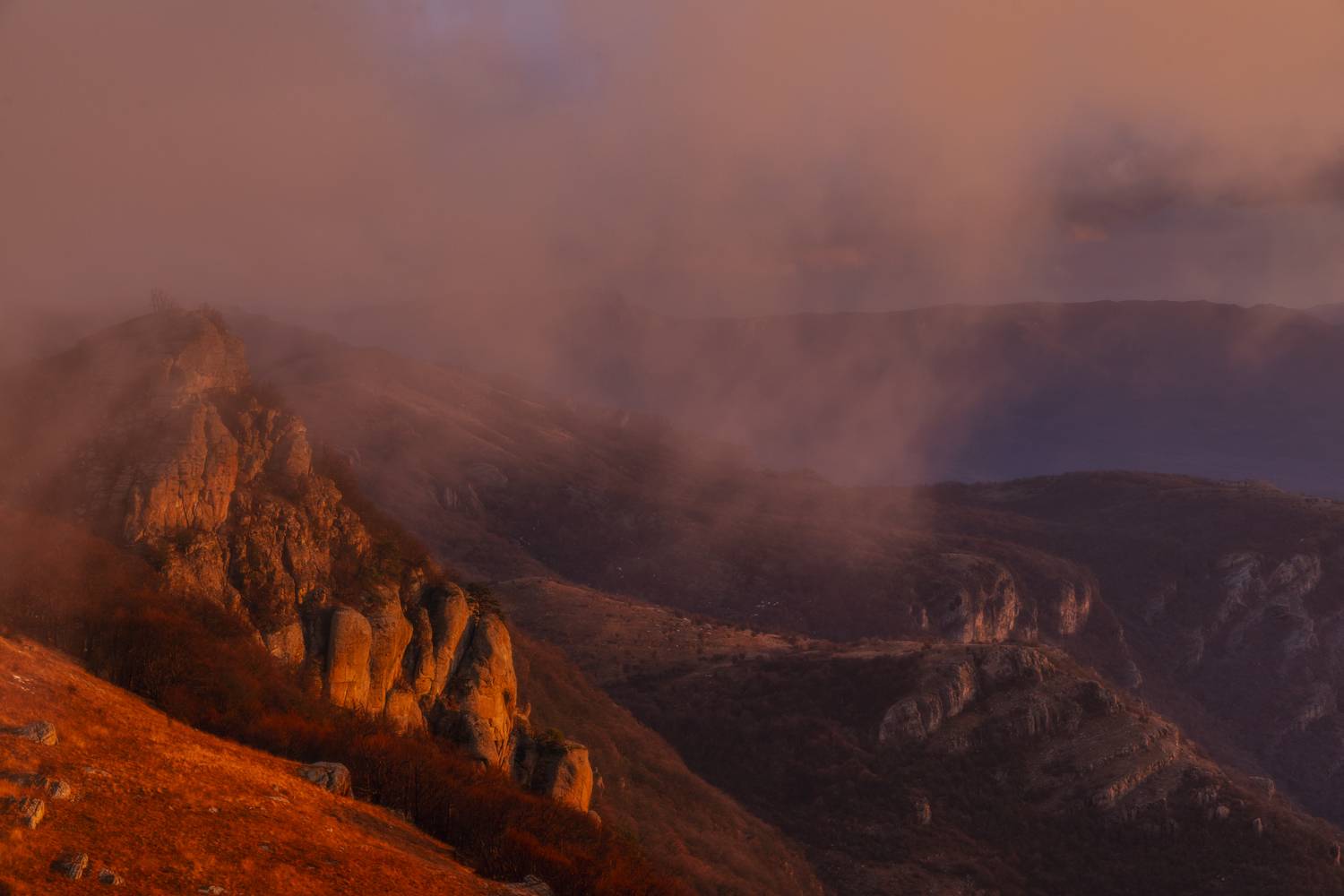 , Юлия Мальцева