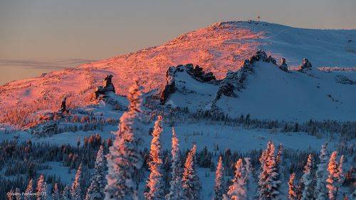 Малиновый вечер