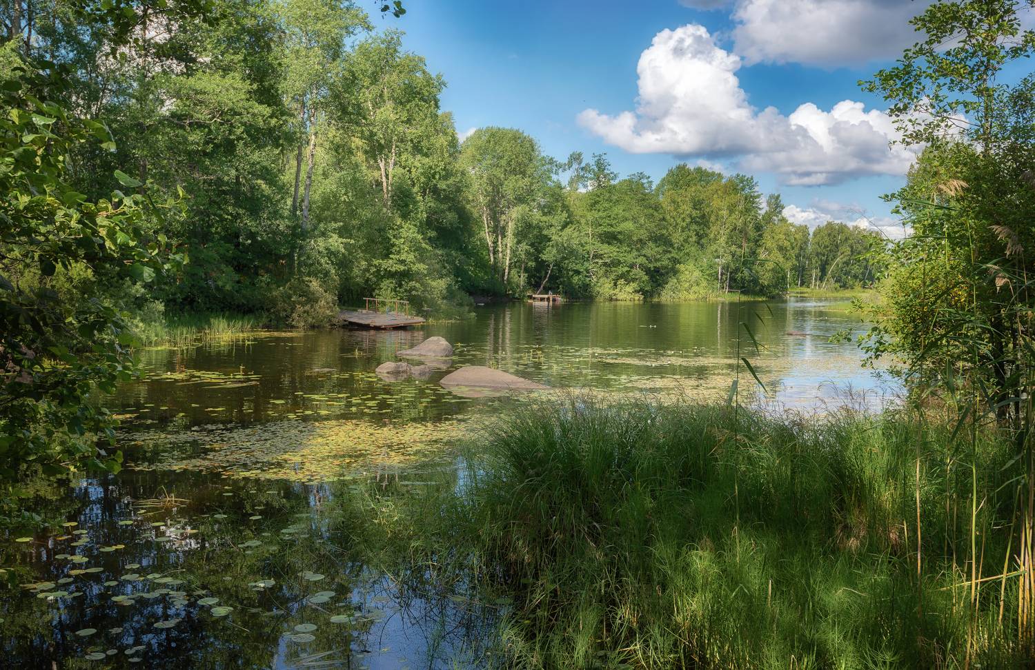 Река, мостики, валуны, вуокса, Сергей Аникин