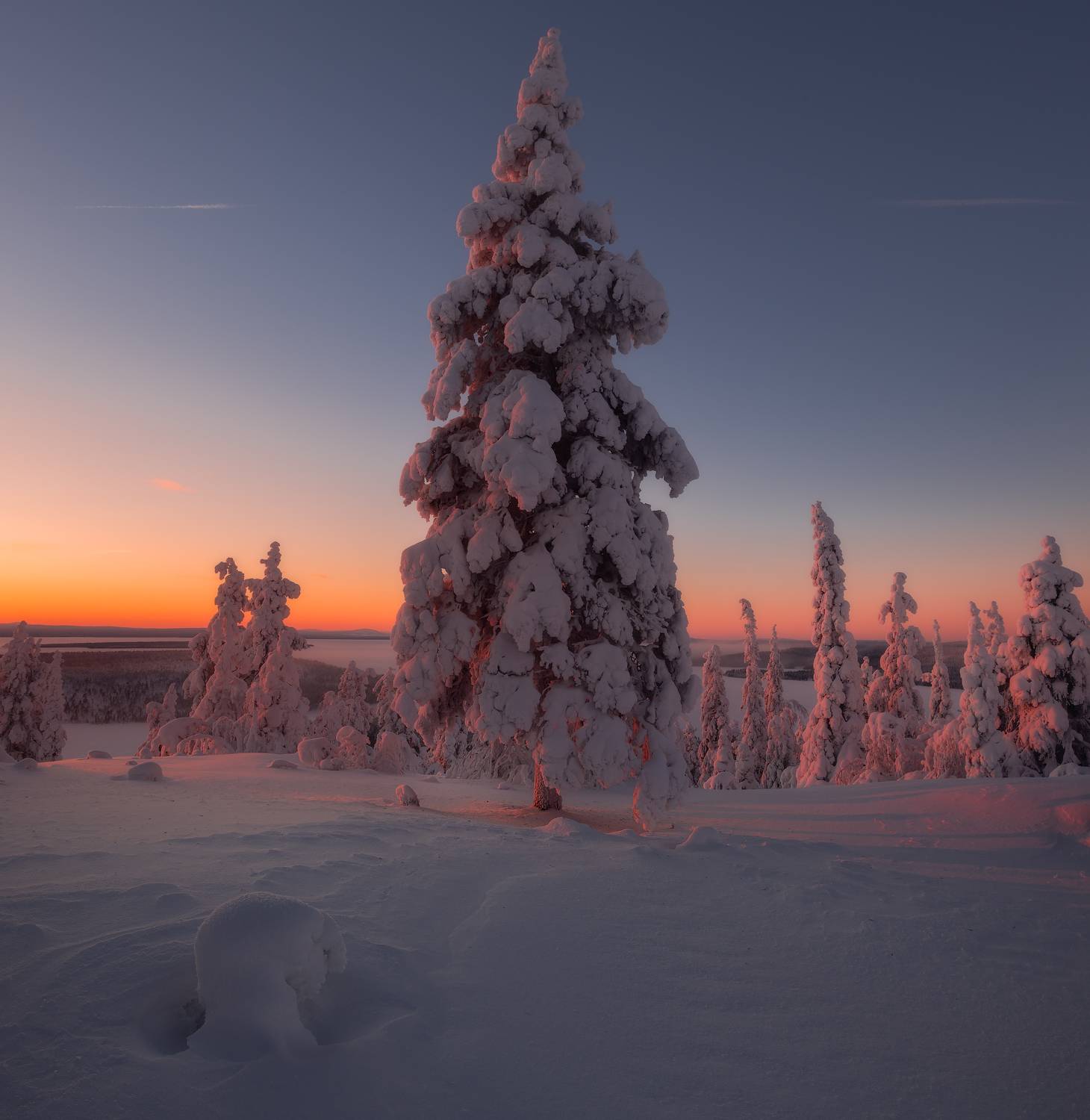 , Истомин Виталий