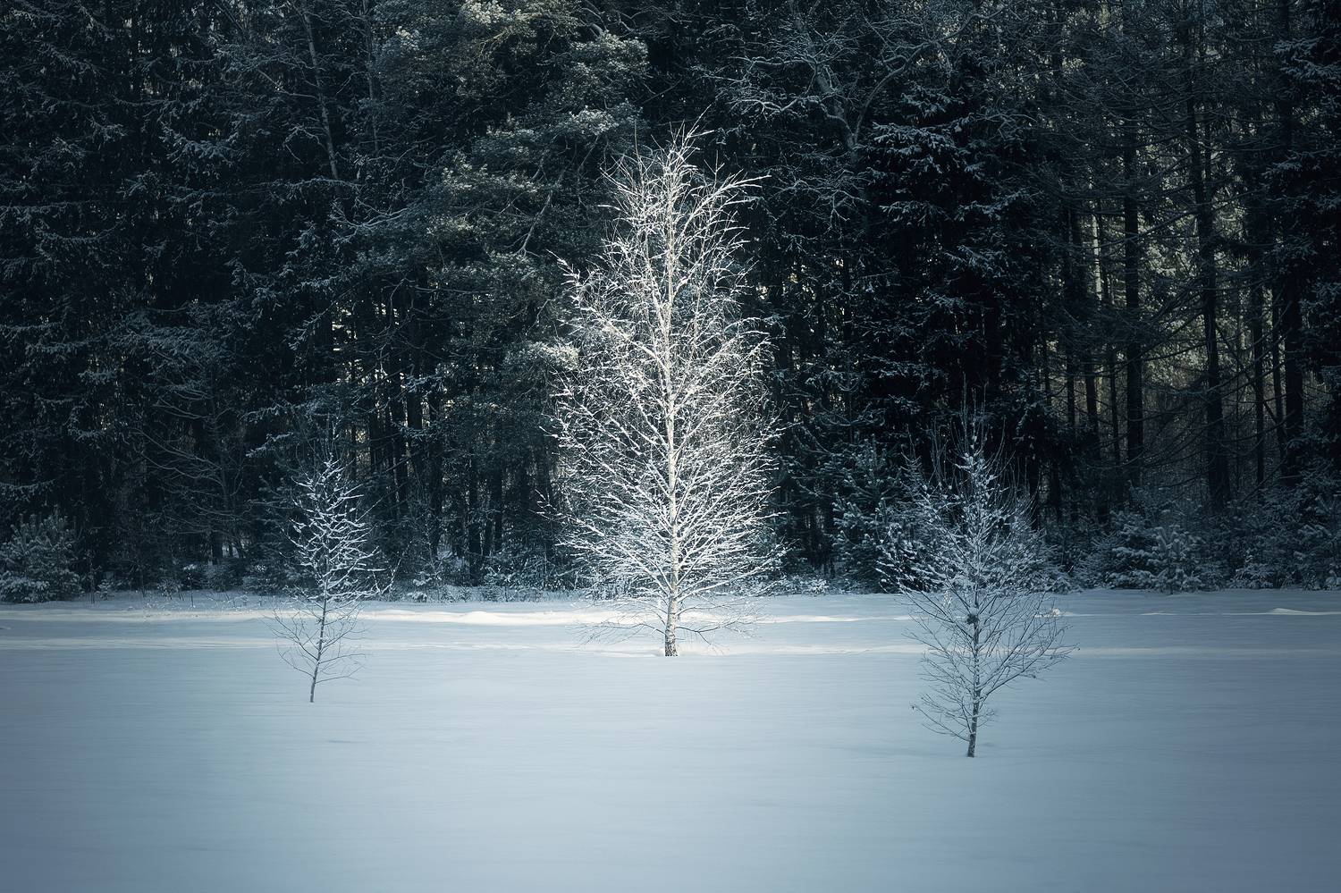 , Загруев Михаил