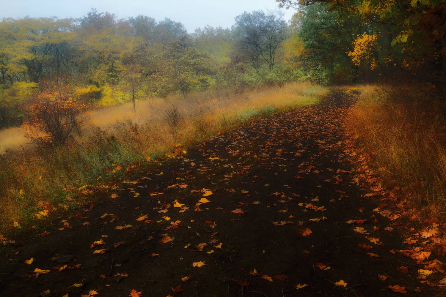 , Лысенко Сергей