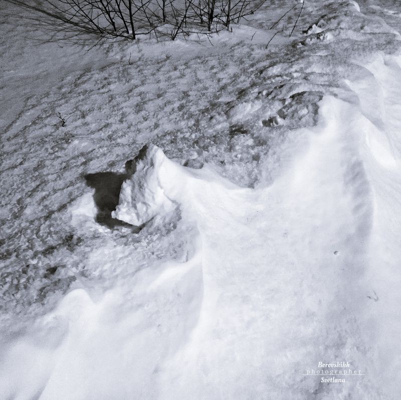 пейзаж, природа, снег, чб_фото, в_стиле_кенна В снежном плену фото превью