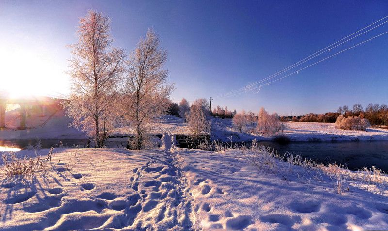 Зимнее утро. фото превью