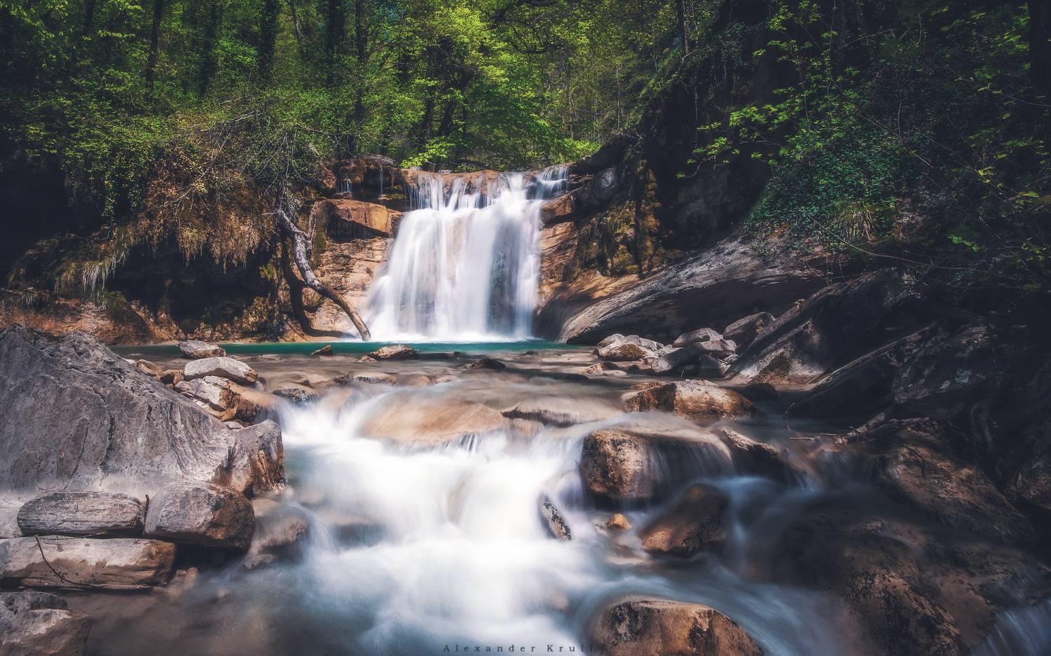 жане, Круль Александр
