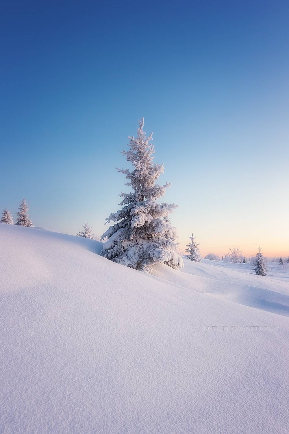 , Антон Кошетаров