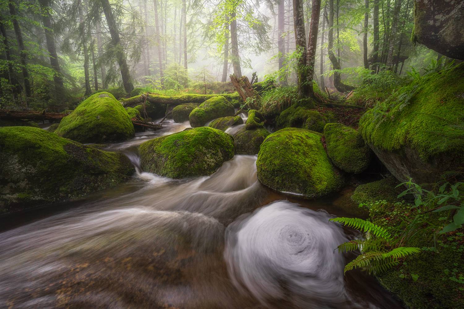 landscape, nature, scenery, forest, wood, mist, misty, fog, foggy, river, longexposure, mountain, rocks, vitosha, bulgaria, туман, лес, Александров Александър