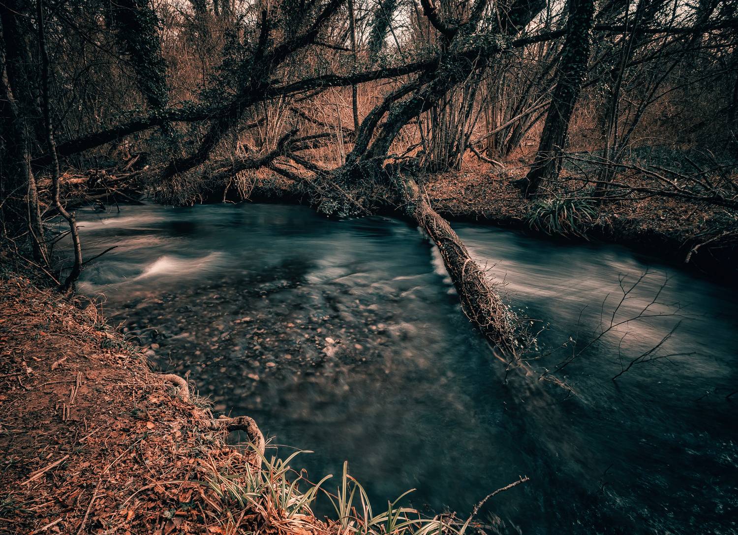 крым, байдарская долина, черная речка, севастополь, река, перекат, природа, Подосинников Максим
