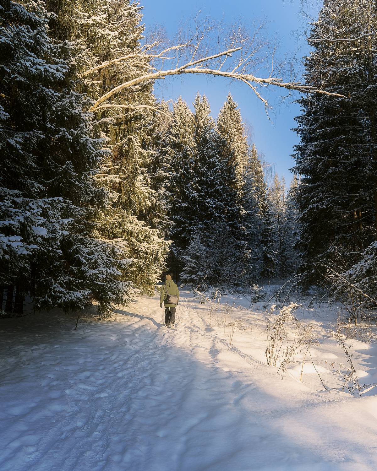 , Загруев Михаил