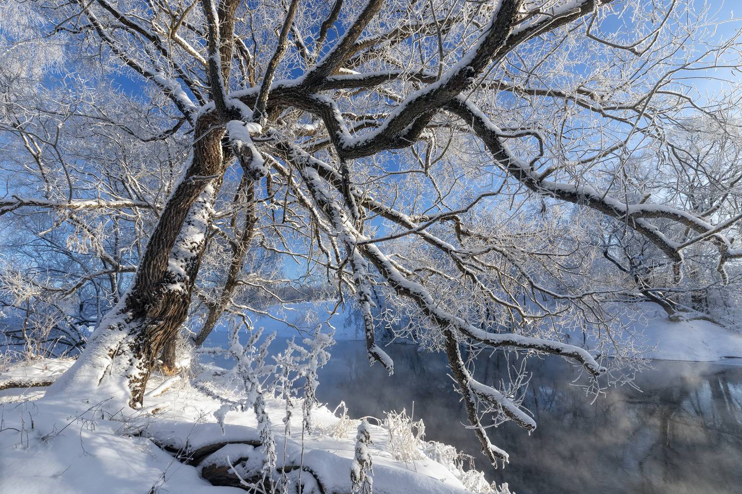 Истра, Елена Гусева