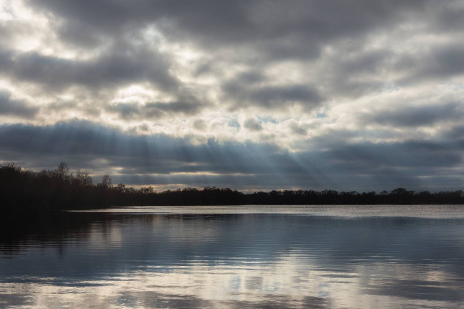 озеро, воронеж, шилово, Olga Sharikova