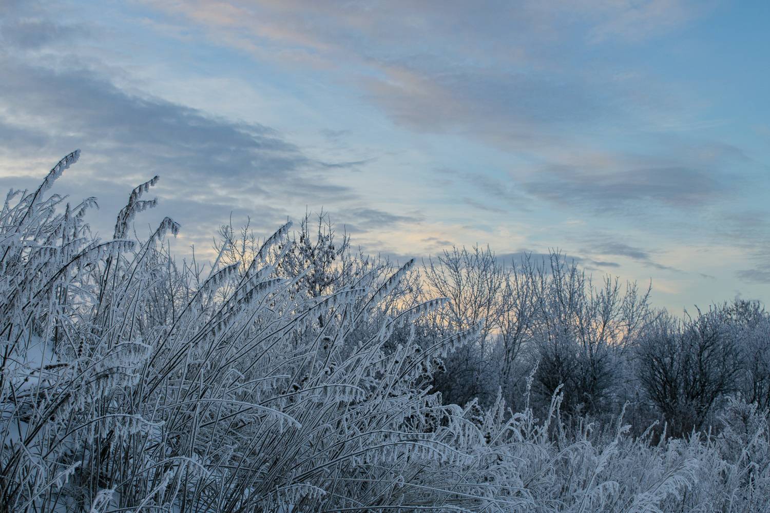 , Галина Луценко