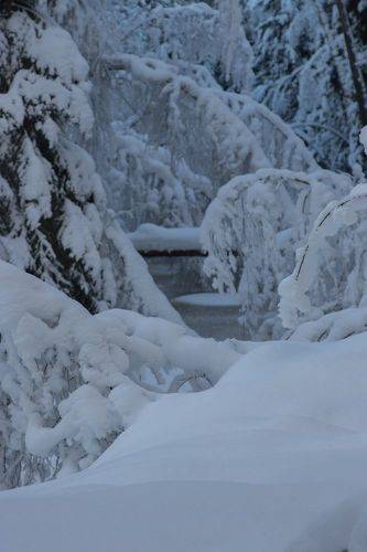 Спящая речка