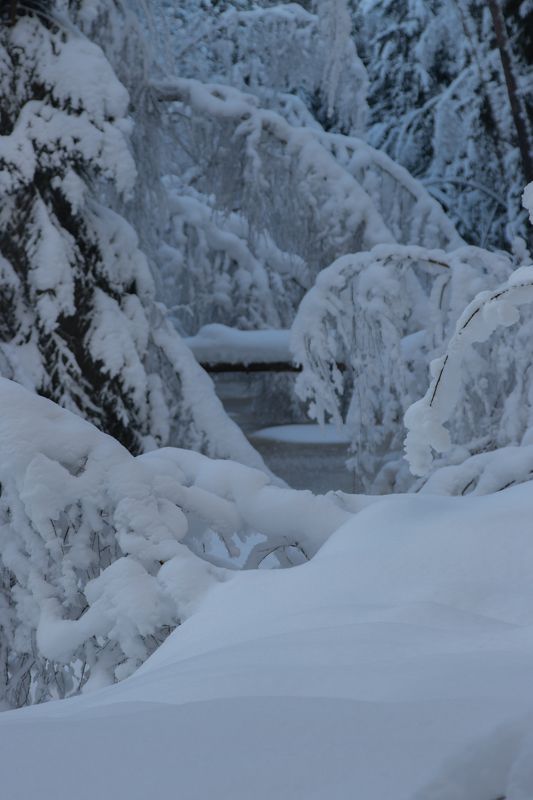 зима снег река лес лед сугроб Спящая речка фото превью