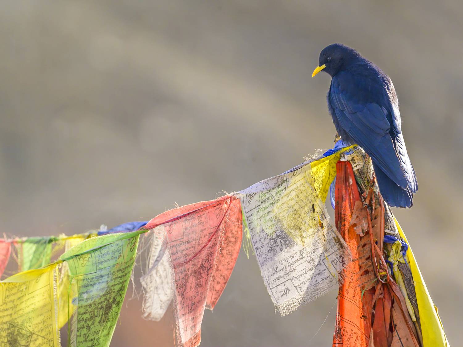 , Пупонин Сергей