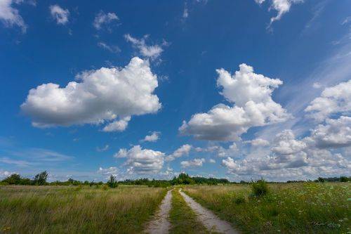 Поля Пруссии