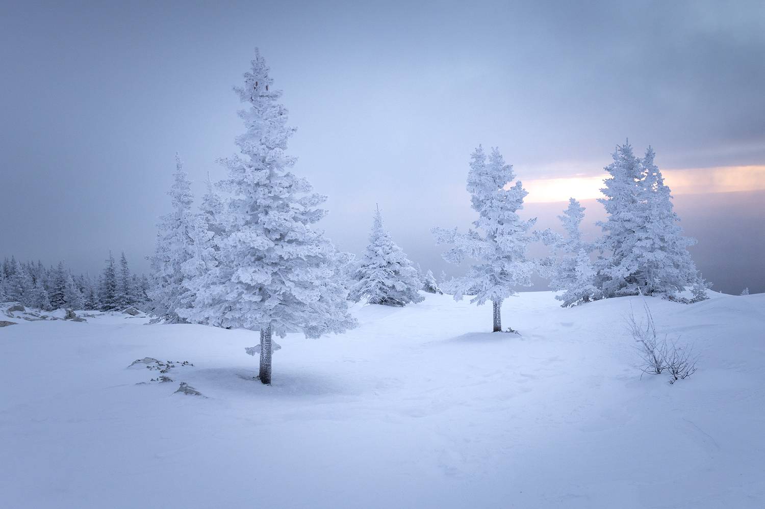 , Татьяна Бирюкова