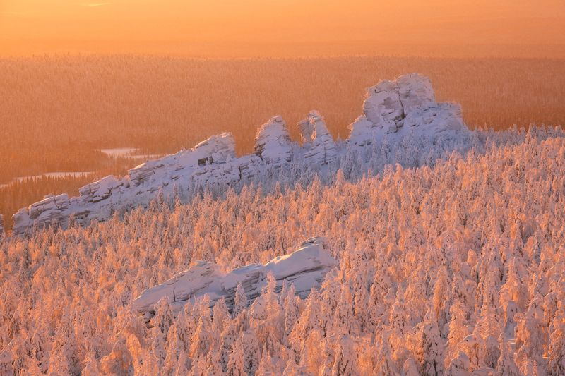 Солнечное утро января... фото превью