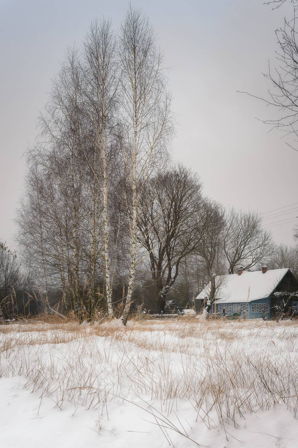 , Павел Тимошенко