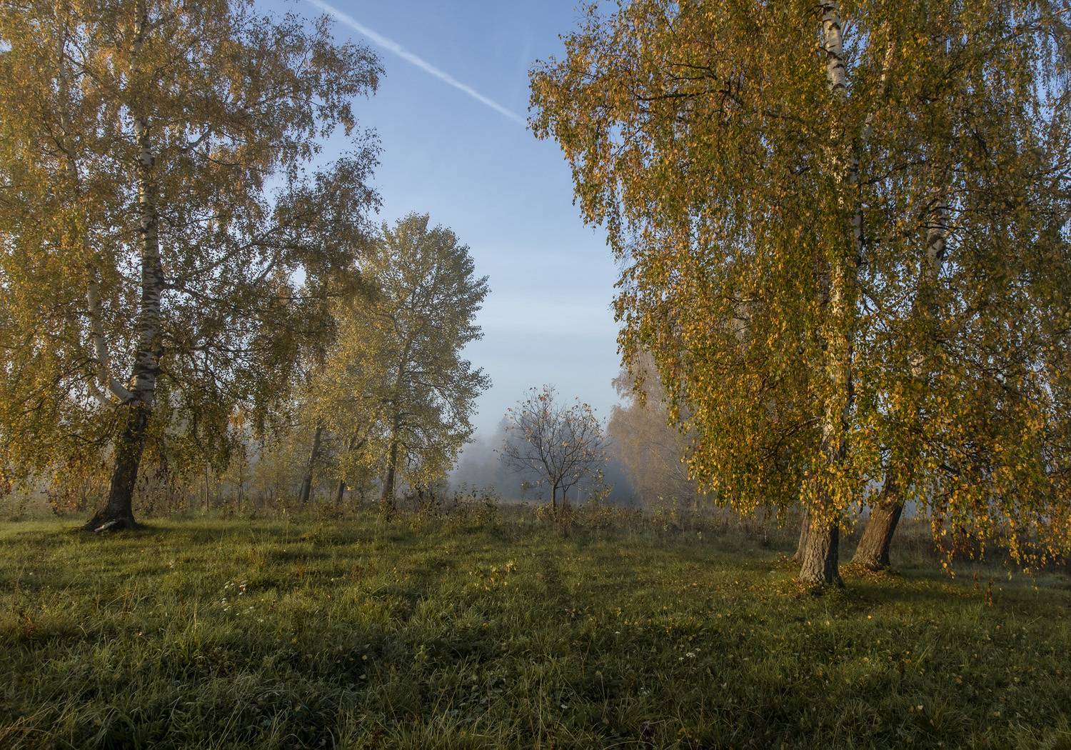 , Алексей Хахлов