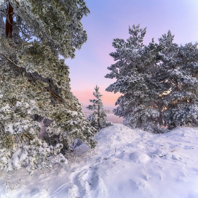 На заре фото превью