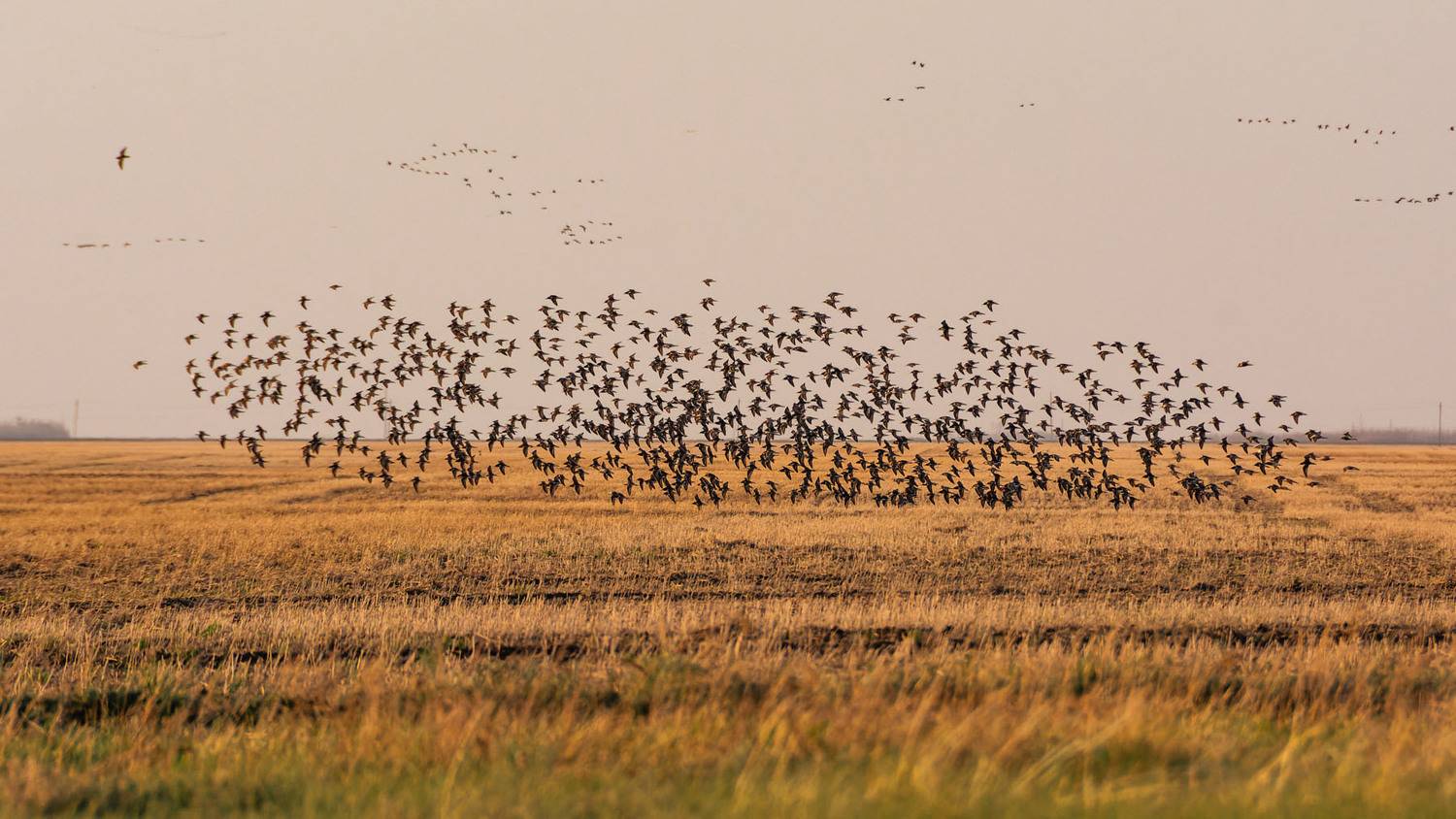 , Савенко Кирилл