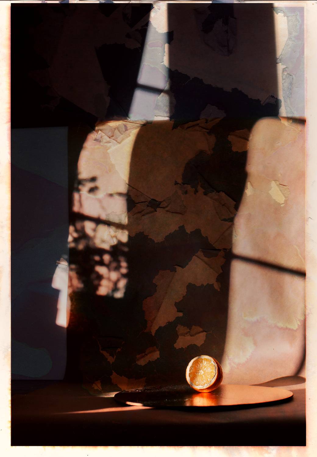 лимон, Зоя Павкина