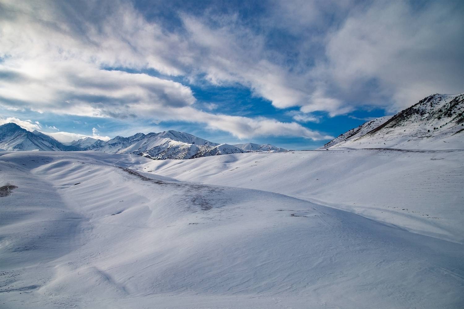 кыргызстан, урочище чункурчак, Элина Магалимова