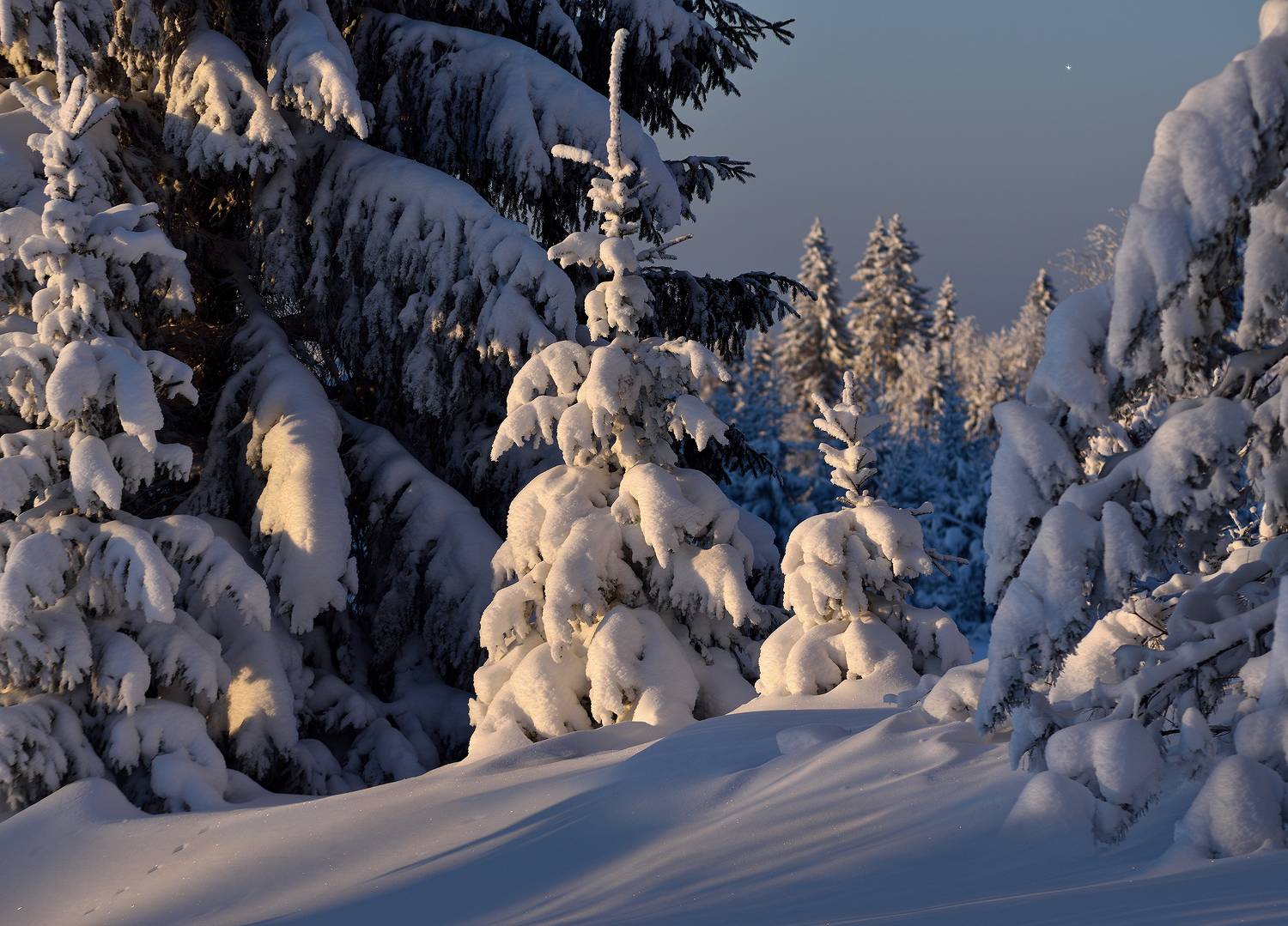 , Андрей Зыкин