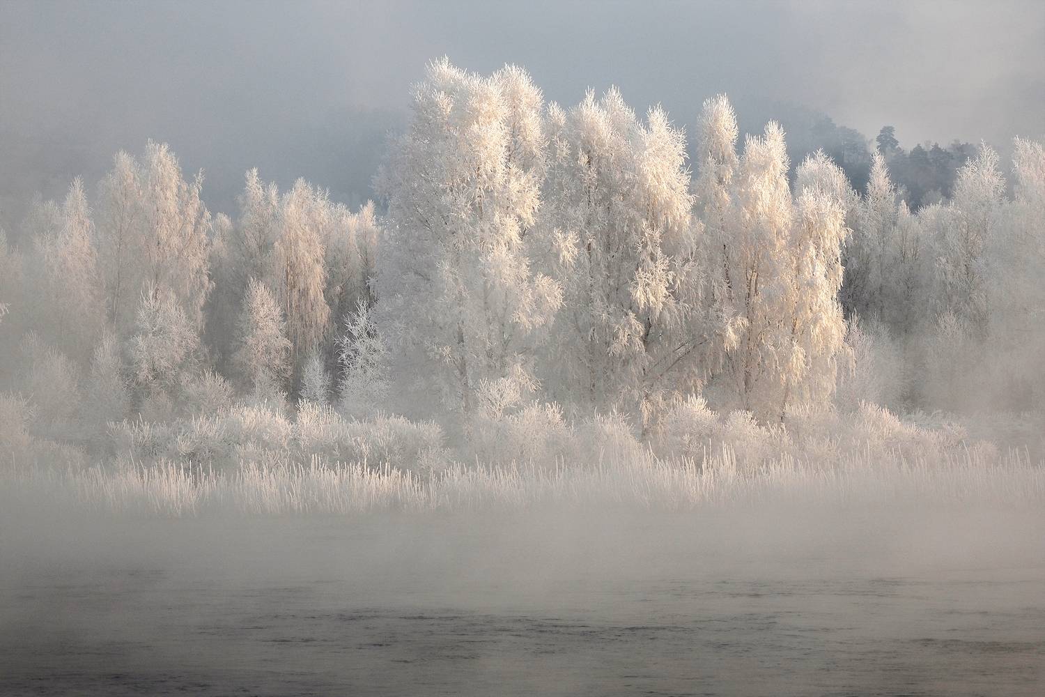 , Александр Попов