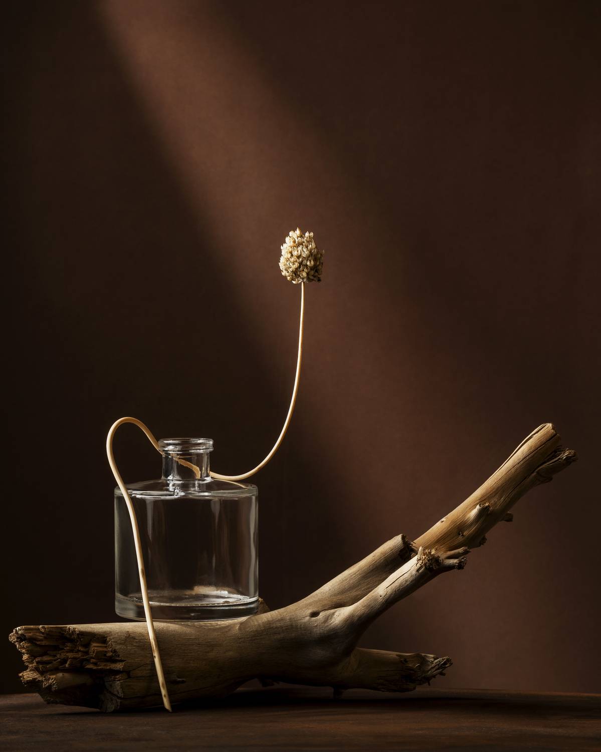 art, design, objects, light, standing, studio, still life, , Anna Ilieva-Alikaj