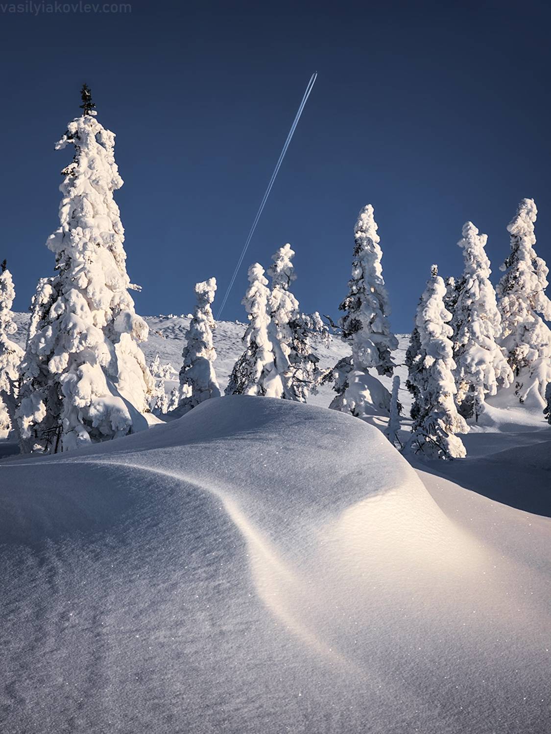 гух, фототур, яковлевфототур, Василий Яковлев