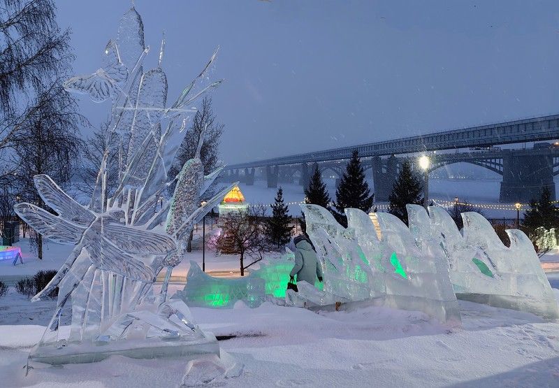 ледовая скульптура,новосибирск,новый год,зима Нежная бабочка и стрекоза на камышах фото превью