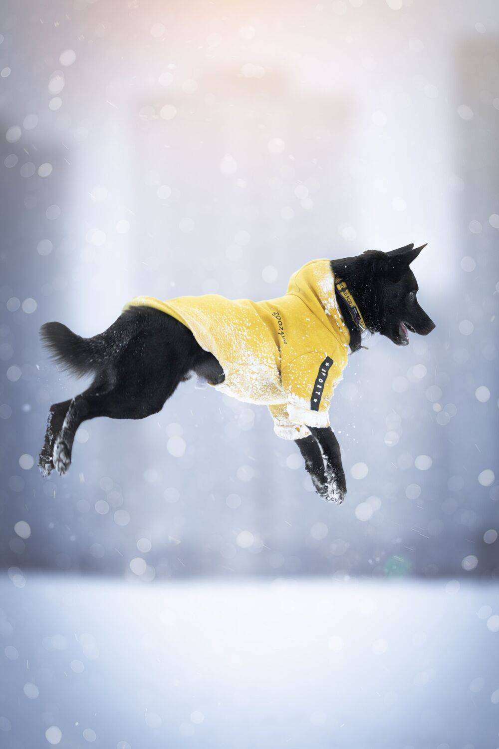 , Мария Романова