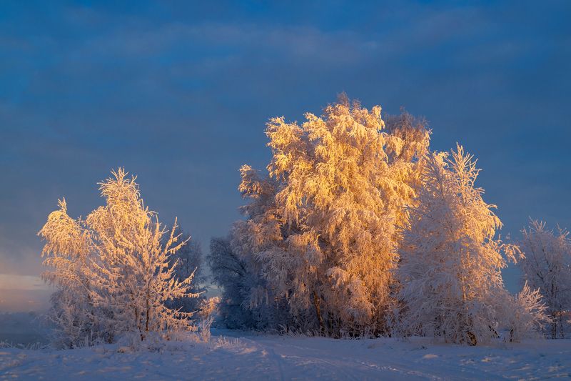 ангара, иркутск, зима Зимнее утро на берегу Ангары фото превью
