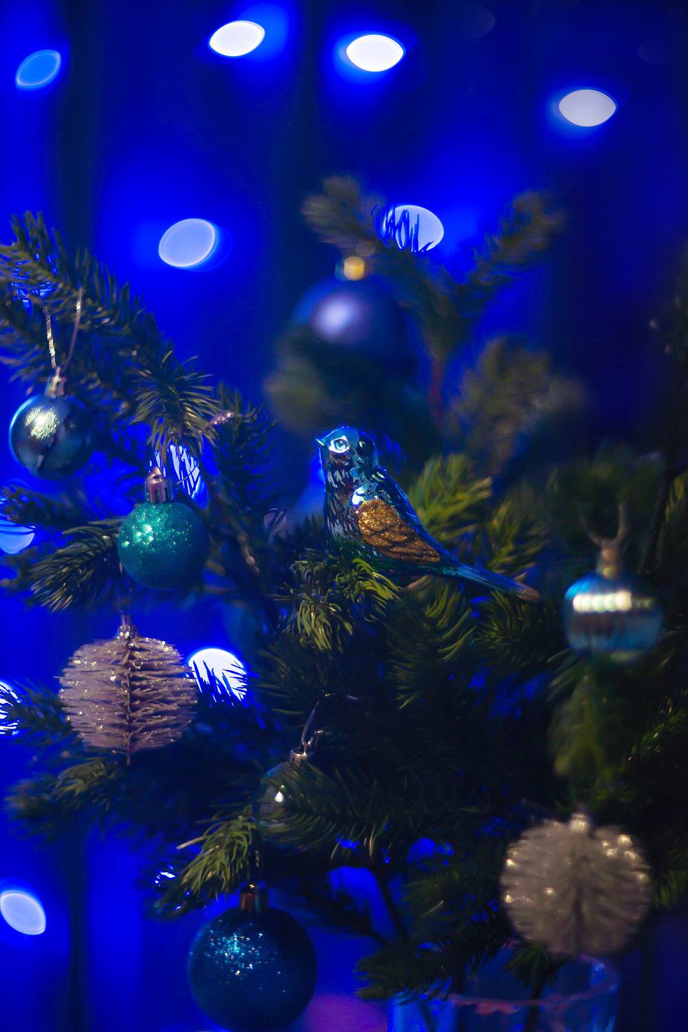 новый год, ёлка, ветки, ёлочные игрушки, Baccardi Marina