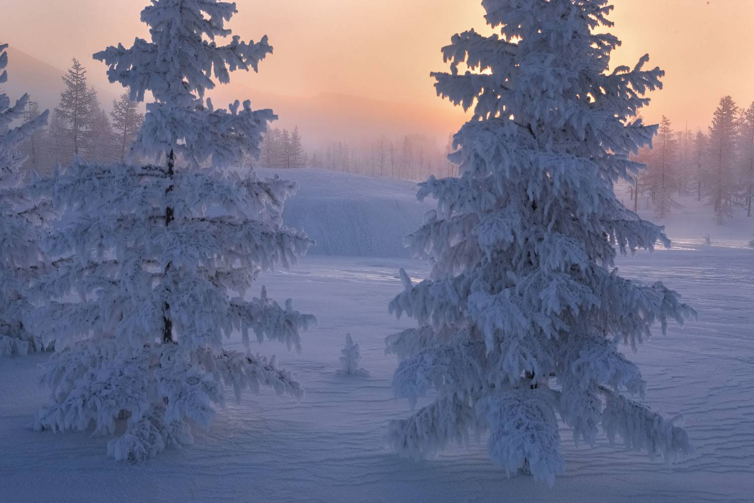 Фототуры с Владимиром Рябковым, #topnature #russpasibo #magic_shots #lovelyRussia #sunset_vision #exclusive_sky  #exclusive_shots #loves_russia2 #photoarena_nature #nature_sultans #nature_perfection #rsa_sky #rsa_sunset #photorussia #rsa_naturepics #sunse, Владимир Рябков