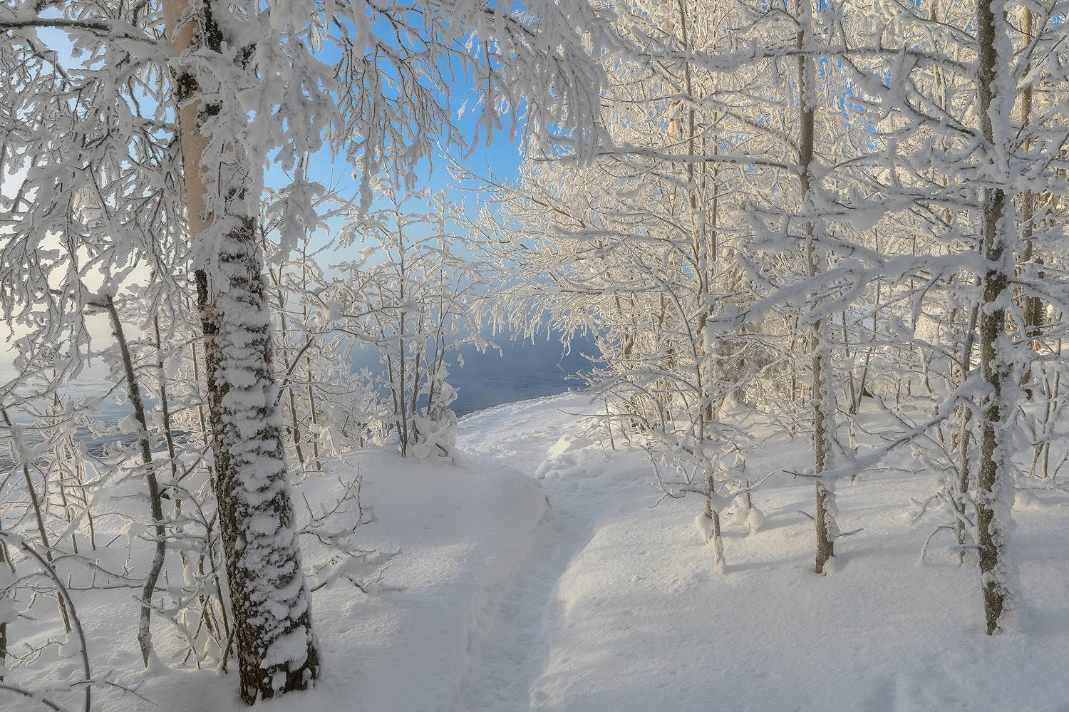 , Александр Пашеничев
