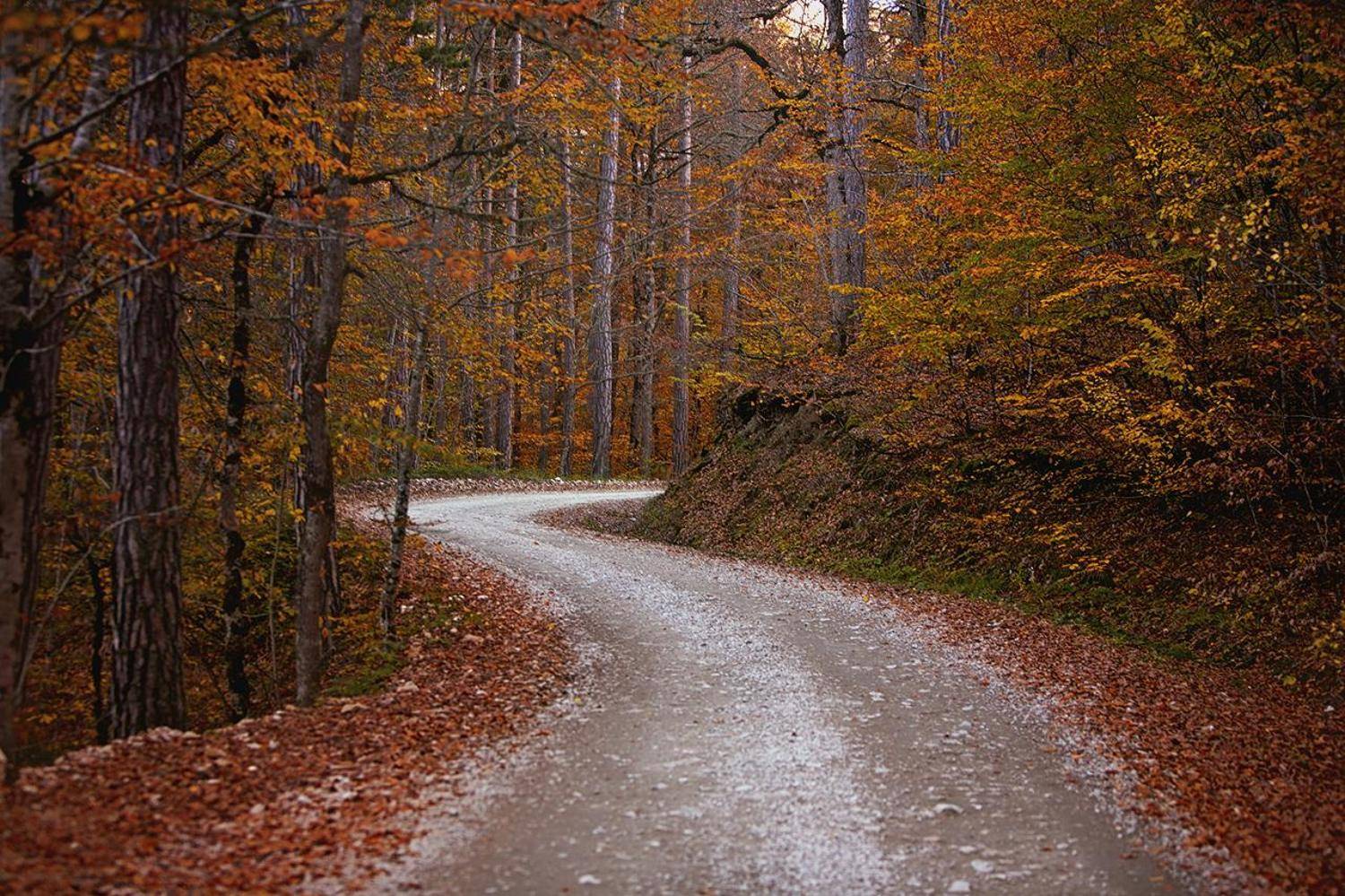 турция, осень, дорога, Ludmila Yilmaz
