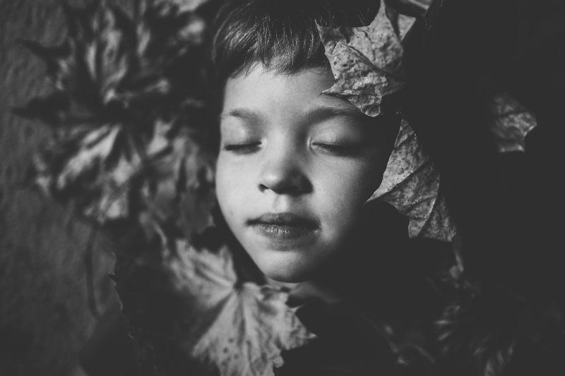 осень фото превью