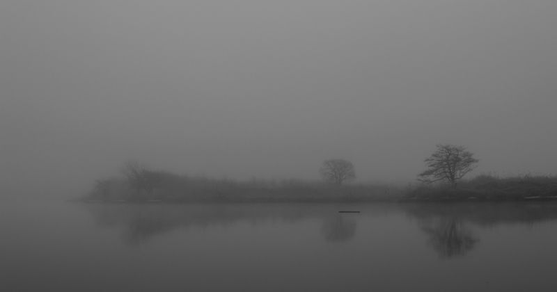 туман *** фото превью