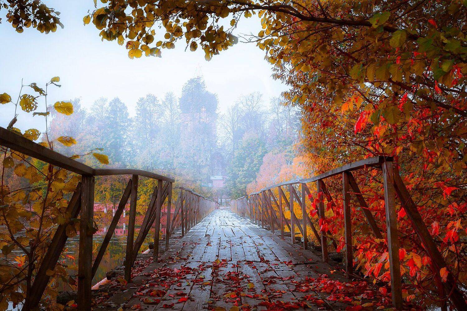 , Игорь Шиленок