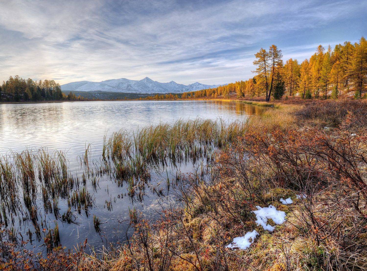 , Бурцев Дмитрий