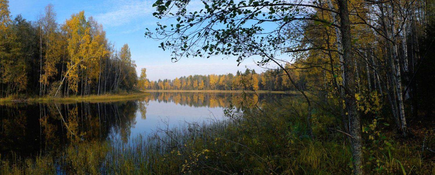 Верховья Волги, Золотая осень, Озеро, Валерий Пешков