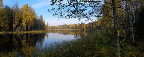 Pro затянувшуюся золотую осень на озёрах верховья Волги...